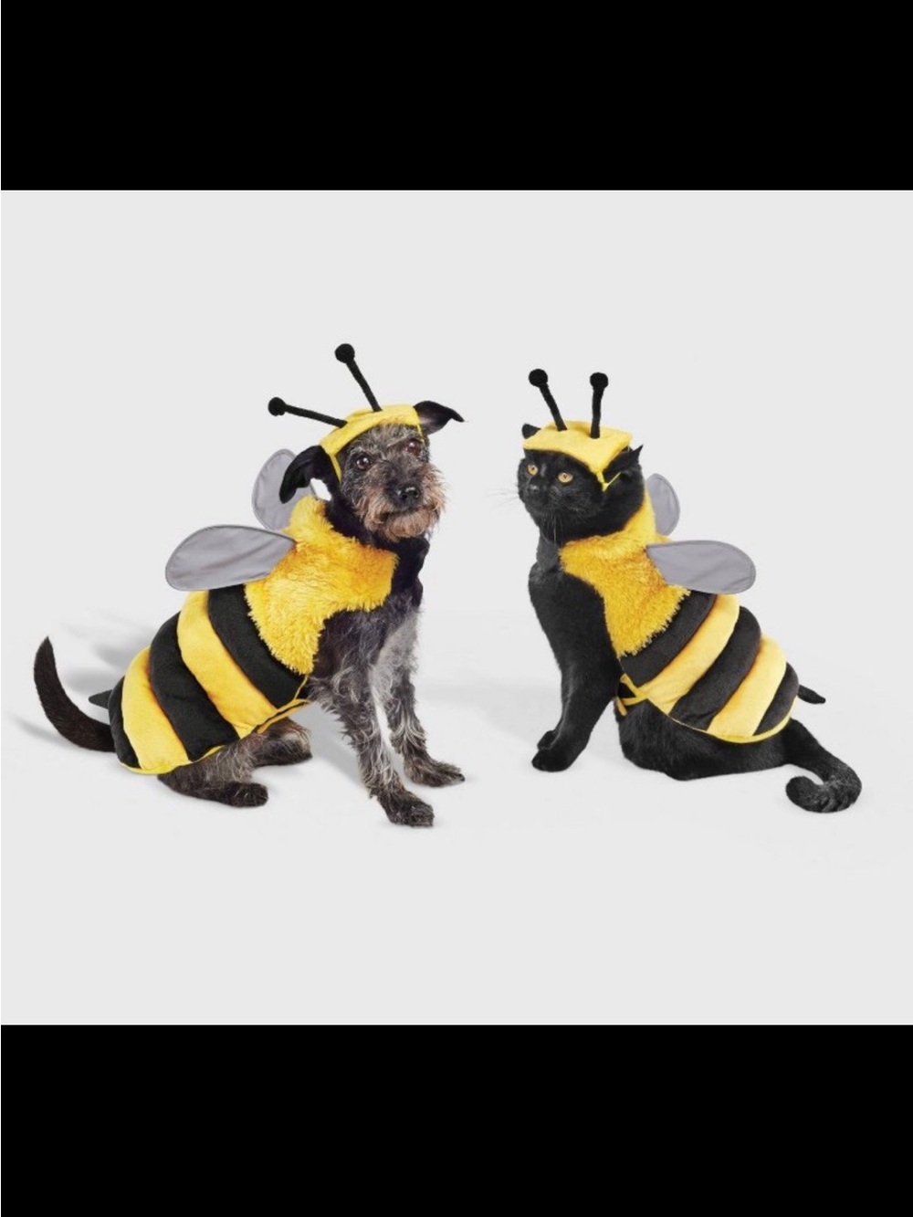 BOOTS & BARKLEY yellow bumblebee Halloween costume size medium